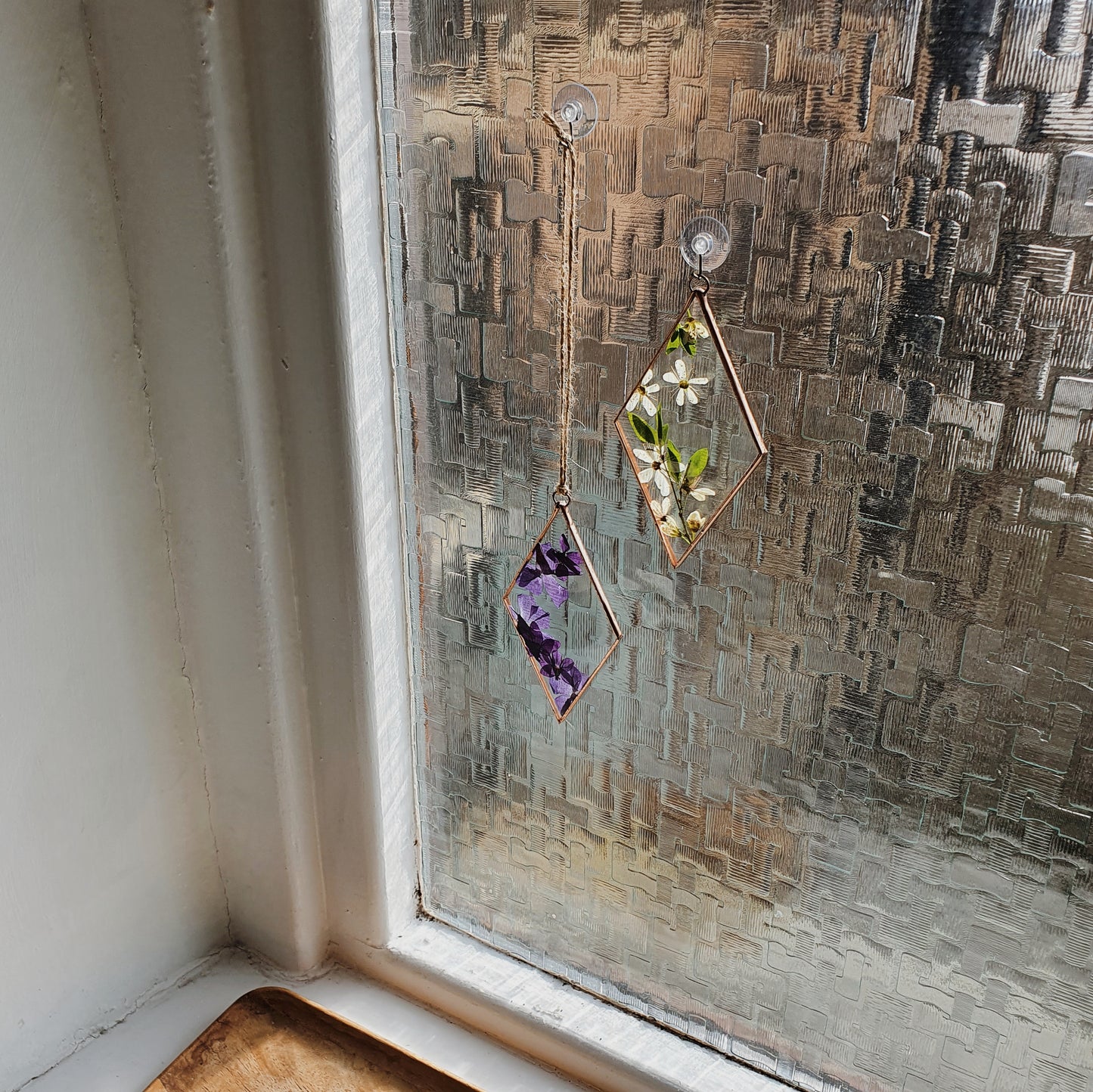 Mini Suction cup
